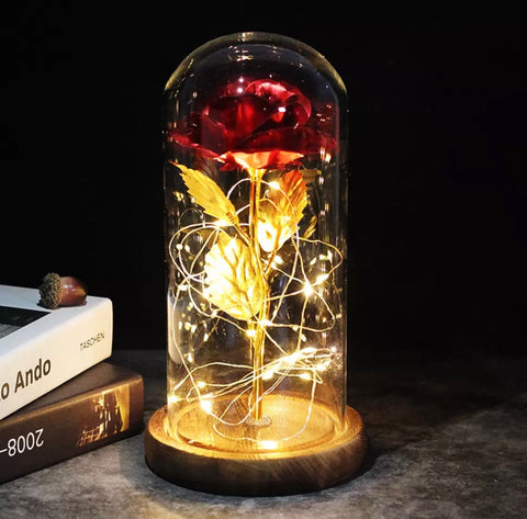 Enchanted Rose Lamp - Science Factory